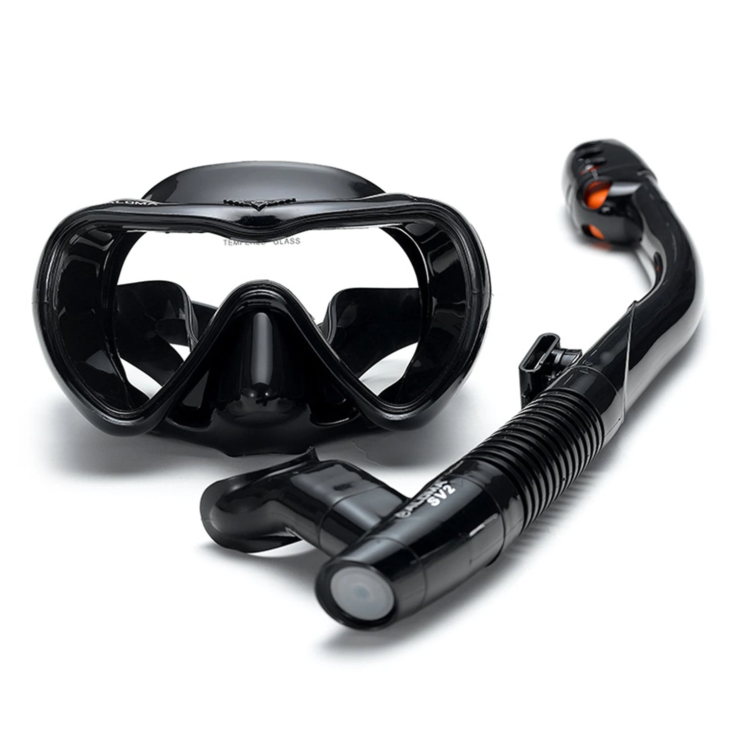 Leakproof Snorkel Set – Anti-Fog Diving Mask & Dry Top Snorkel