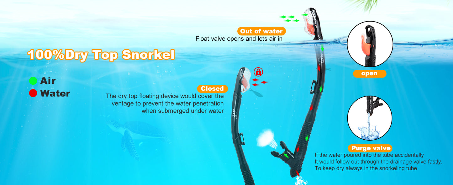 Panoramic Snorkeling Set – Anti-Fog Mask with Dry Top Snorkel